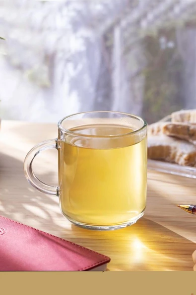 Paşabahçe 55192 Iconıc 6'lı Kupa 245 Cc ürün görseli 1