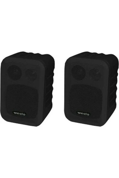 Duvar Hoparlör 100w Hat Trafolu Wm-305tb Çift Siyah