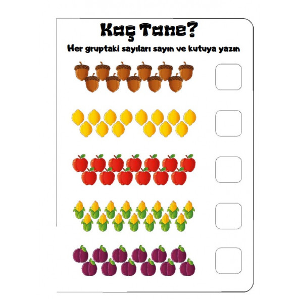 İlk Matematik Kitabımız (1. Sınıflar ve 2. Sınıflar İçin) - 2