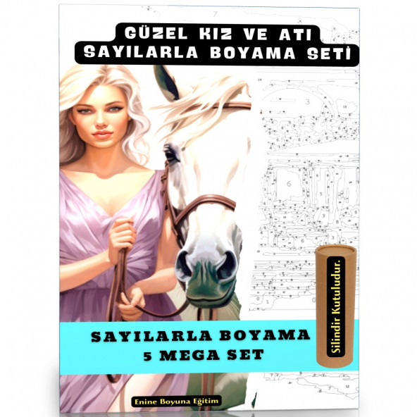 Sayılarla Boyama Tablo Seti (Güzel Kız ve Atı)