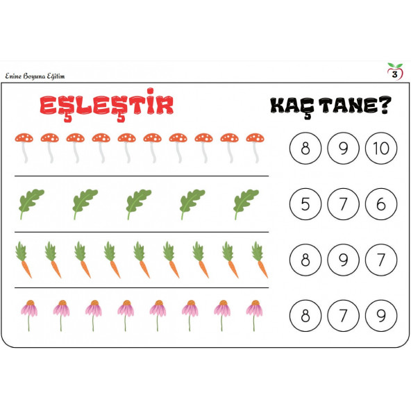Okul Öncesi Matematiğin Temeli YAZ-SİL Kitabı - 2