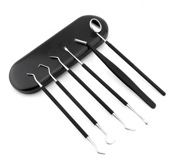 Valkyrie 6 Parça Paslanmaz Çelik Metal Kutulu  Diş Tartar Temizleme Dental Ağız Bakım Seti siyah kutu - 10