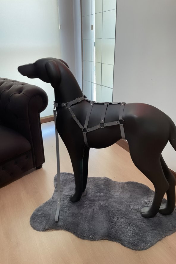 Karanlıkta Yansıyan, Reflektörlü Köpek Vücut Harness - Özel Tasarım Köpek Tasması - NPD004