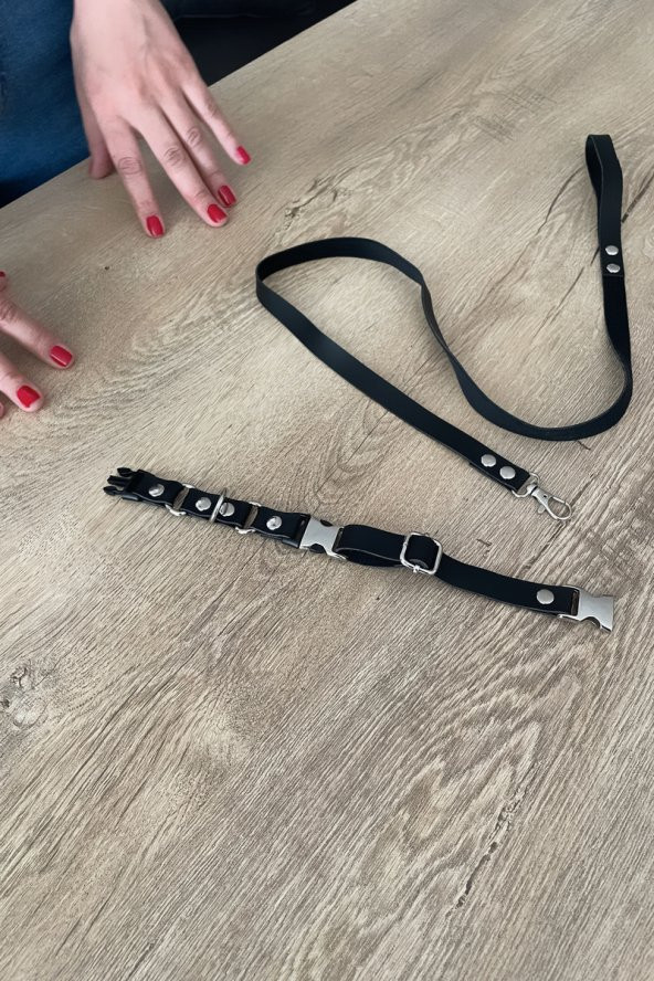 Kedi Harness , Gezdirme Ve Boyun Tasması