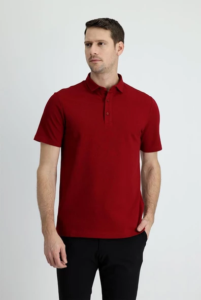 Classics Regular Fıt Kıvrılmayan Polo Yaka Erkek Tişört - 3