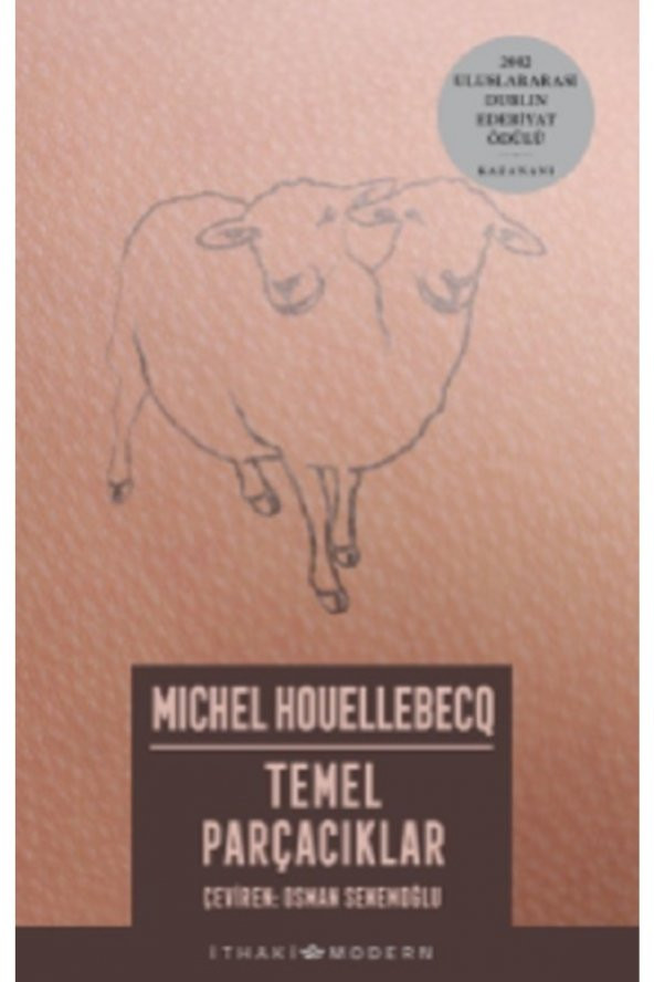 Temel Parçacıklar ürün görseli