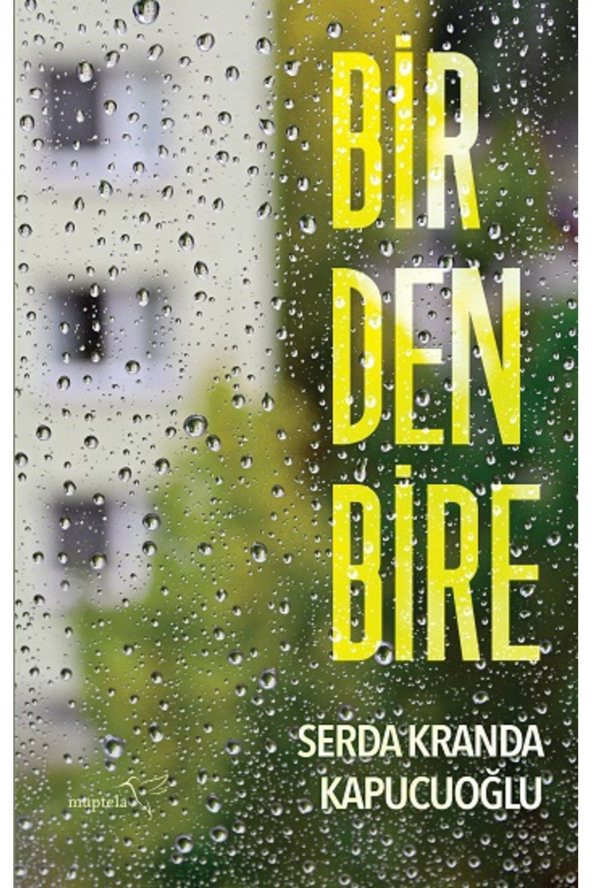 Birdenbire