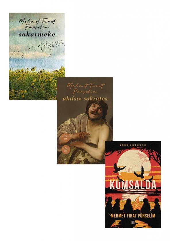 Mehmet Fırat Pürselim Kitaplığı ürün görseli
