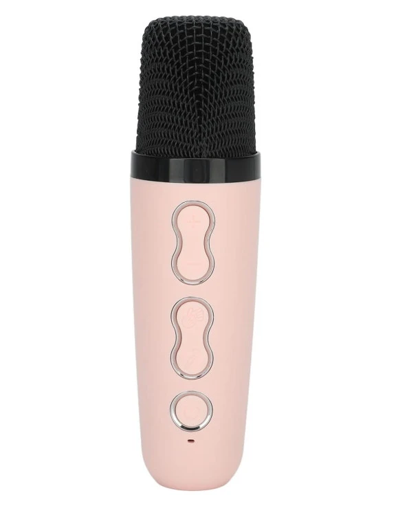 Concord K2 FM Radyo Karaoke Mikrofon Bluetooh Hoparlör - 8