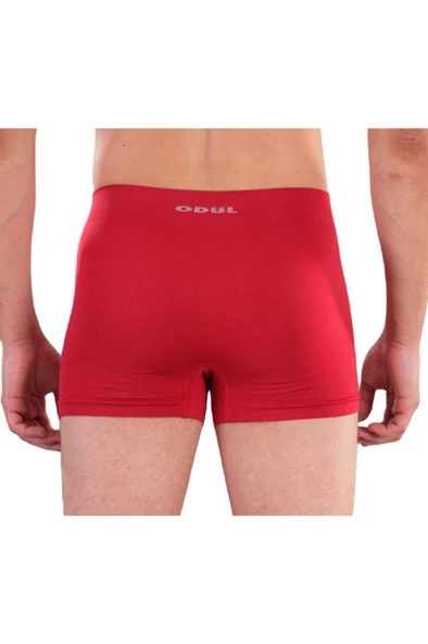 ÖDÜL 2074 ERKEK BOXER BORDO - 2