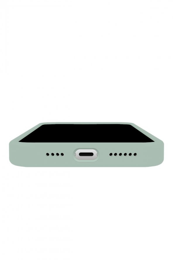 Iphone 14 Pro Max  Uyumlu Rubber Fit Kılıf Succulent - 3