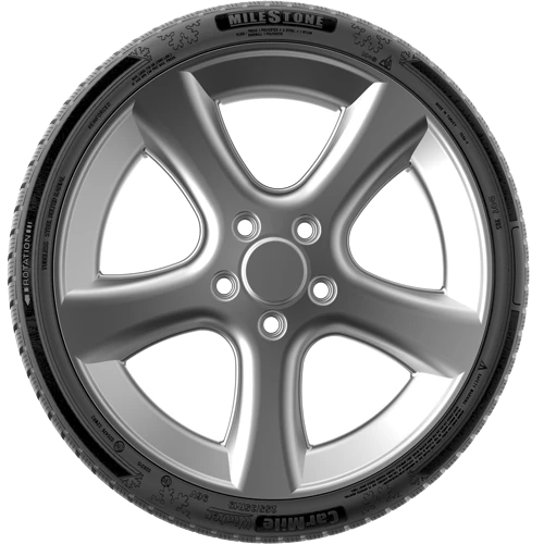 Milestone 215/55 R17 98V Reinf. Carmile Winter Kış Lastiği Üretim Tarihi 2024 - 3