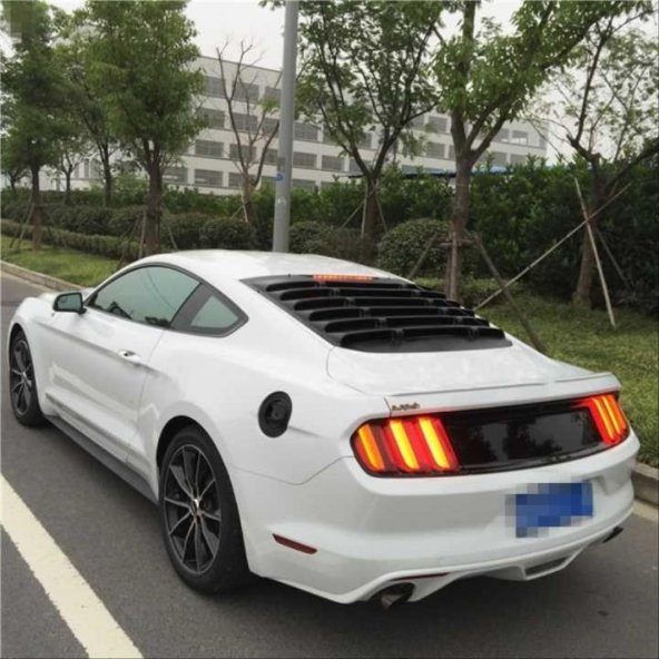 Mustang Uyumlu 2015-2020 Arka Cam Vizörü - 2