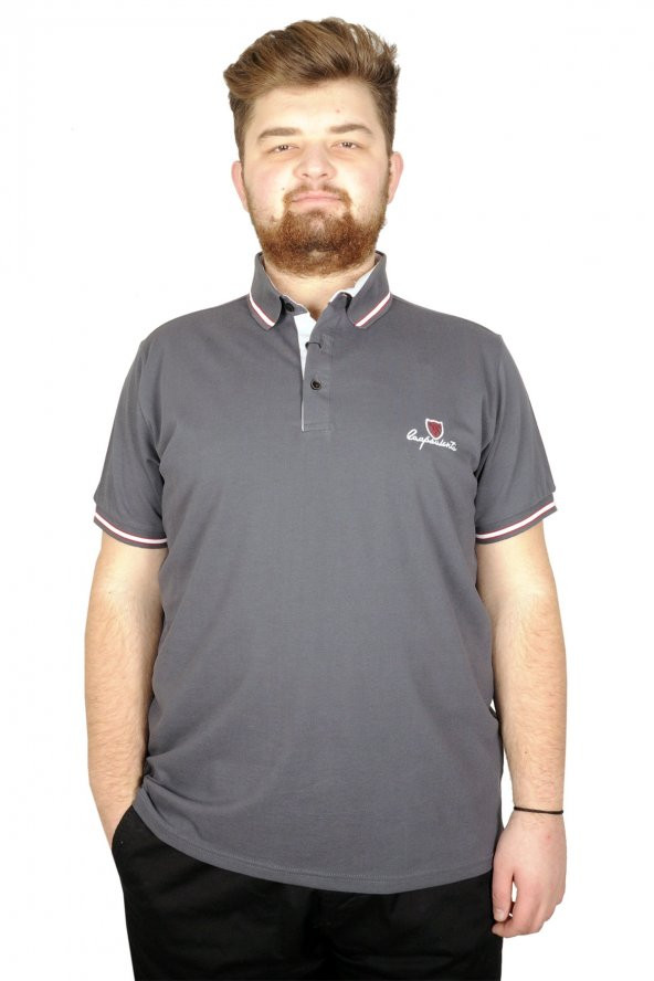 Mode XL Büyük Beden T-shirt Polo  Lapointe  21320 Füme