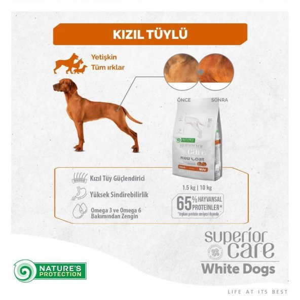 NP Red Coat All Breeds Adult Dog Food with Poultry Tahılsız Kümes Hayvanlı Bütün Irklar için Yetişkin Kızıl Köpek Maması 1,5 Kg - Resim 4
