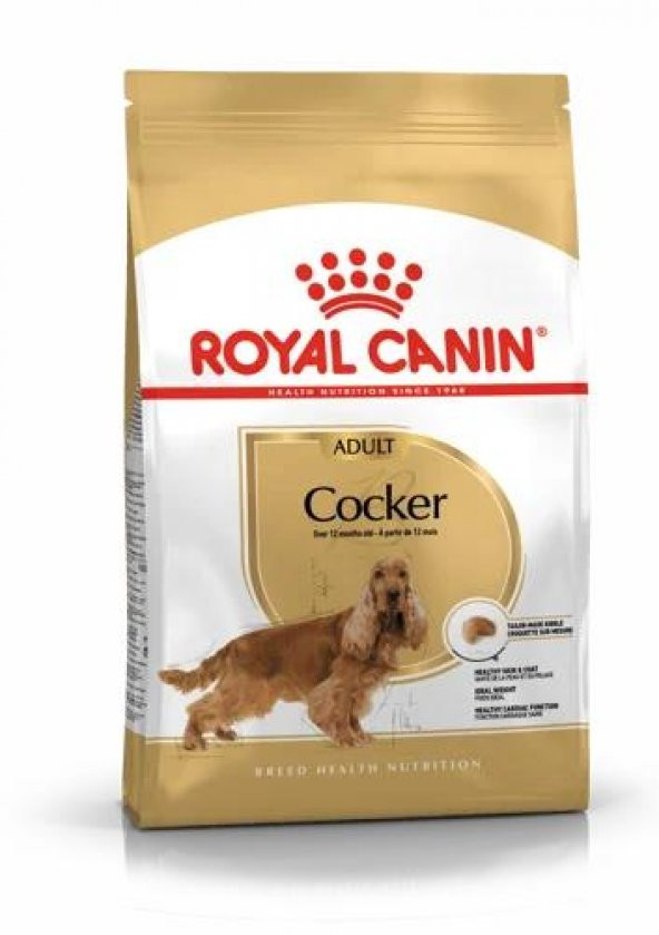 Royal Canin Cocker Adult Yetişkin Köpek Maması 3 Kg - 1
