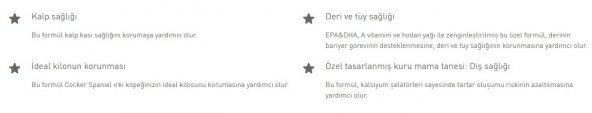 Royal Canin Cocker Adult Yetişkin Köpek Maması 3 Kg - 6