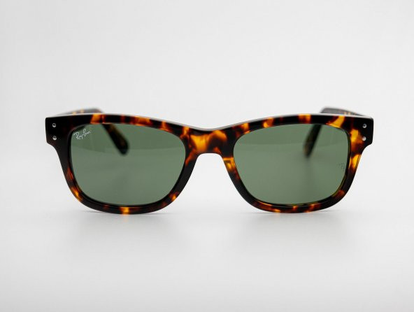 Ray-Ban RB 2283 902.13 55.20 Unisex Güneş Gözlüğü - 2