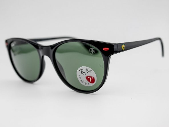 Ray-Ban RB 2202-M F601/31 54-19 Polarize Unisex Güneş Gözlüğü