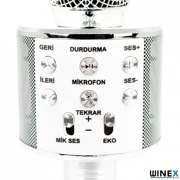 Global UsbA+TF Sd Kart+3.5mm Aux Girişli Bluetooth Karaoke Mikrofonu Gümüş WNE0146 - 2