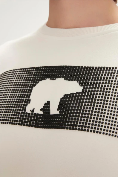 Bad Bear 19.02.12.007-C108 Fancy Erkek Sweatshirt - 5