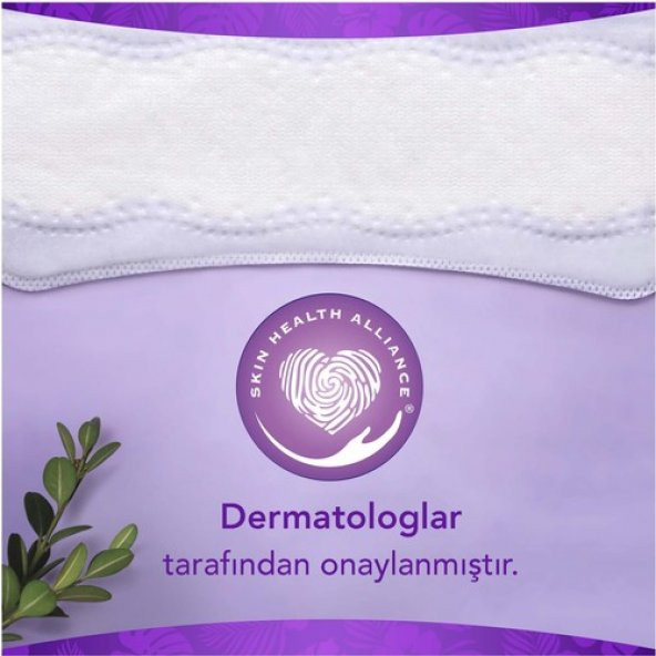 Orkid Günlük Ped Günlük Koruma Tekli lerde - 3
