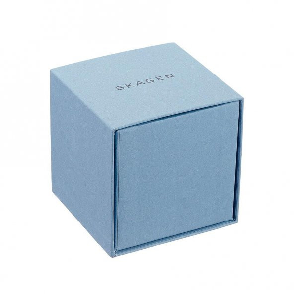 Skagen SKA355SSGS Bayan Kol Saati - 4