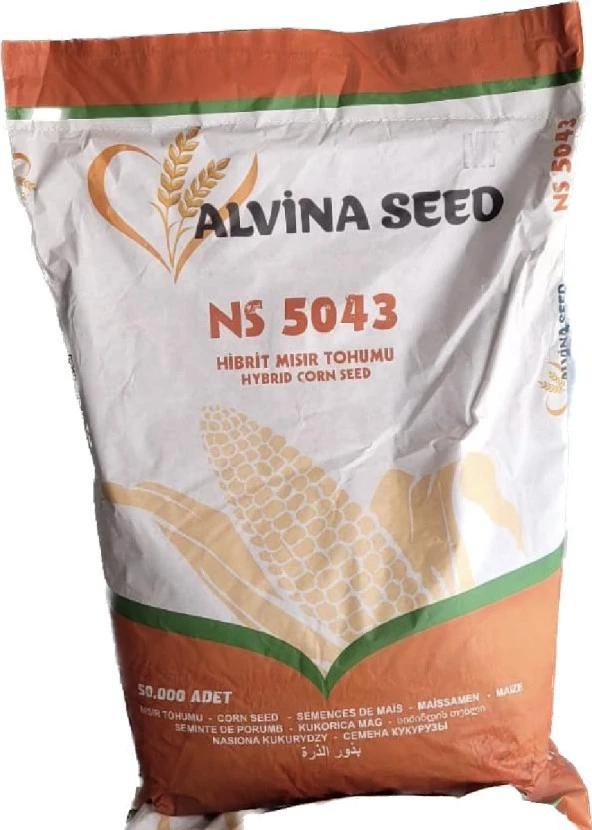 ALVİNA SEED NS5043 HİBRİT MISIR TOHUMU CORN SEED