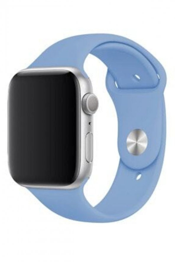 Apple Watch Kordon 2 3 4 5 6 Seri 42 Mm Ve 44 Mm Mavi Silikon Kordon
