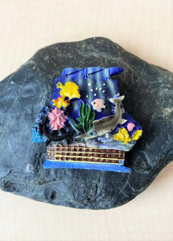 DENİZ CANLILARI TEMALI MAGNET BATIK GEMİ TEMALI MAGNET ürün görseli
