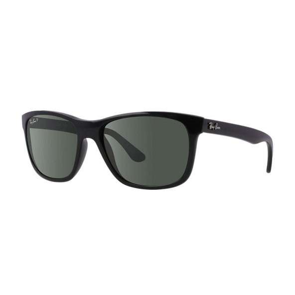 Rayban RB4181 601/9A Erkek Güneş Gözlüğü