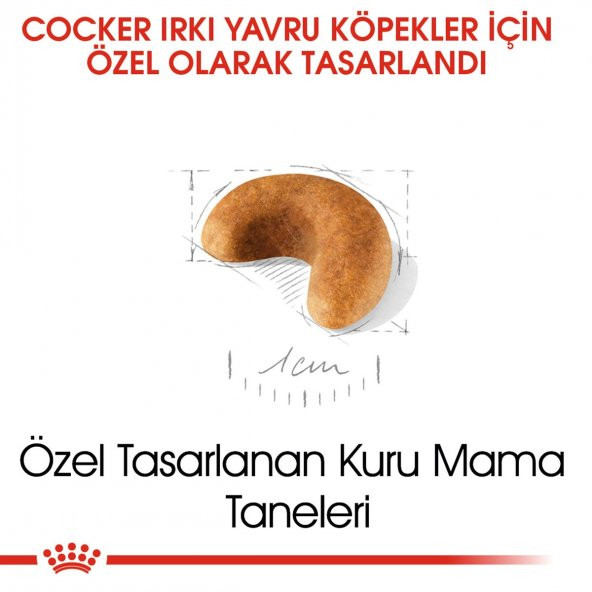 Royal Canin Cocker Junior 3 Kg. - 3