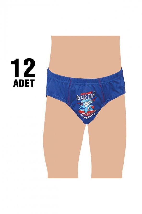 0138 Erkek Çocuk Elestan Baskılı Slip Külot 12li