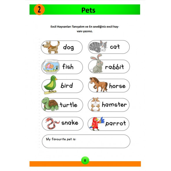 İlkokul ve Ortaokullara İngilizce Öğreten Eğitim Seti - 3