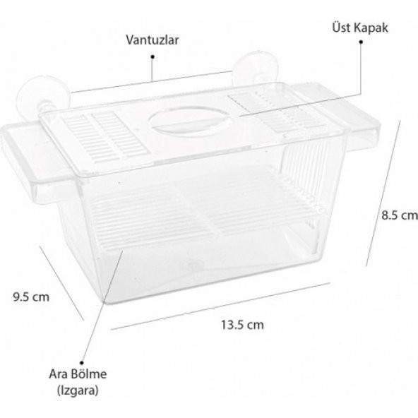 Atlantik Tekli Kristal Balık Yavruluk 13,5 cm x 8,5 cm