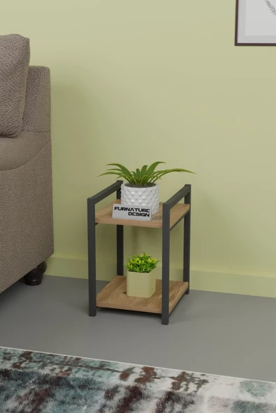 Metal Ahşap Dekoratif Çok Amaçlı Raf 2 Katlı Banyo Mutfak Rafı Çiçeklik Organizer Atlantik Çam