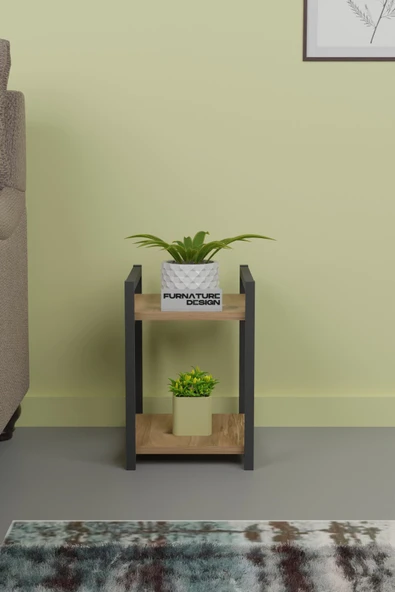 Metal Ahşap Dekoratif Çok Amaçlı Raf 2 Katlı Banyo Mutfak Rafı Çiçeklik Organizer Atlantik Çam - 2