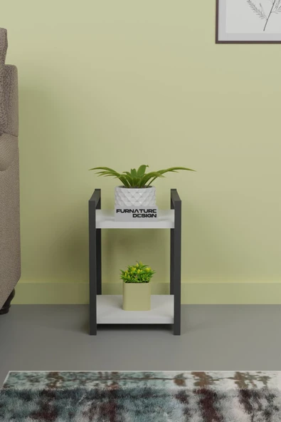 Metal Ahşap Dekoratif Çok Amaçlı Raf 2 Katlı Banyo Mutfak Rafı Çiçeklik Organizer Beyaz - 2