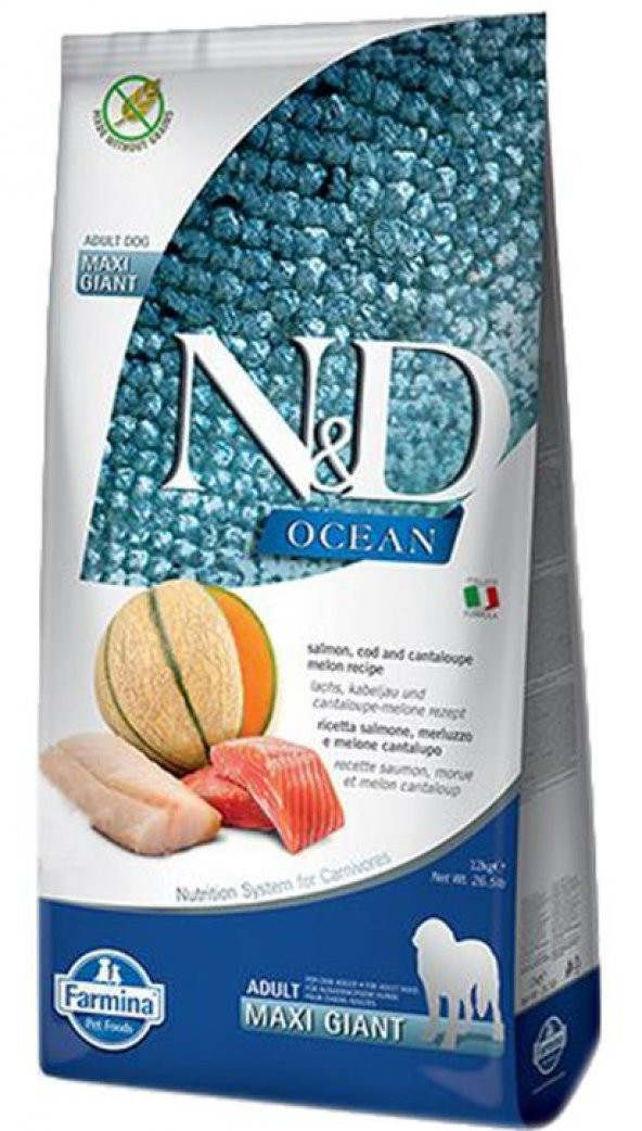 N&D Ocean Köpek Somon Morina Balığı Kavun Yetişkin Giant Maxi 12 Kg