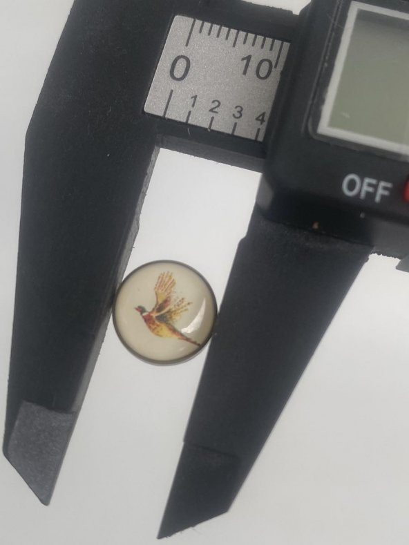 Sülün Resimli Damla Düğme 11mm 10 Adet - 3