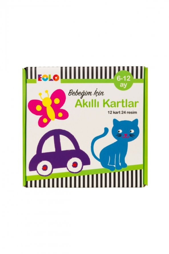 Bebeğim İçin Akıllı Kartlar - (6-12 Ay)