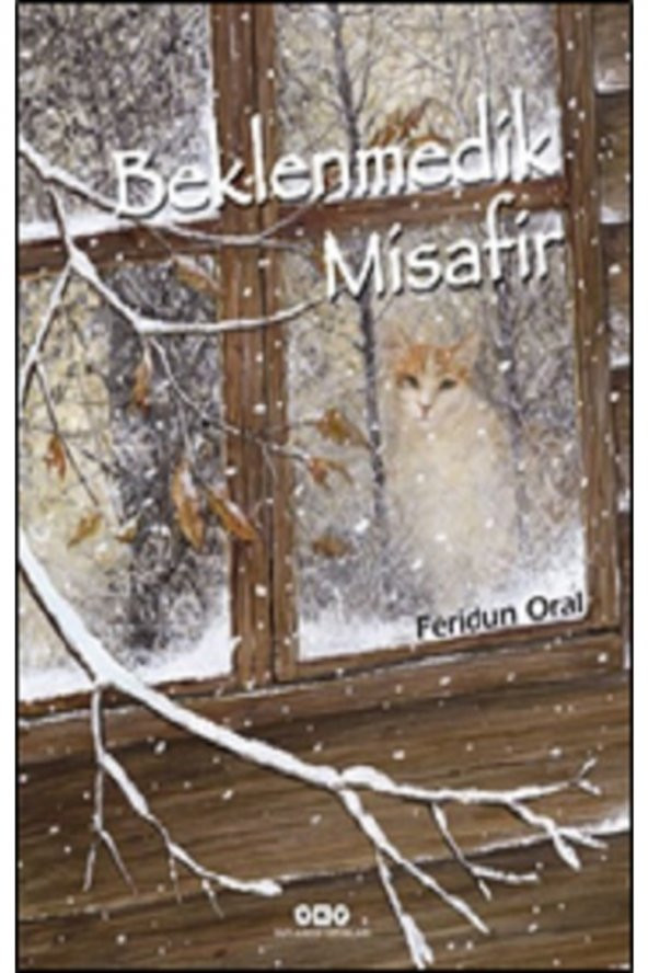 Beklenmedik Misafir