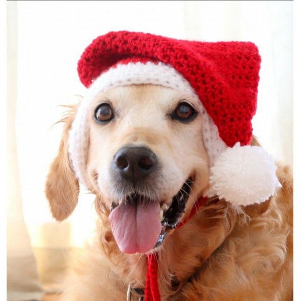 Köpek Noel El Örmesi Şapka, Handmade, Yılbaşı Köpek Şapka