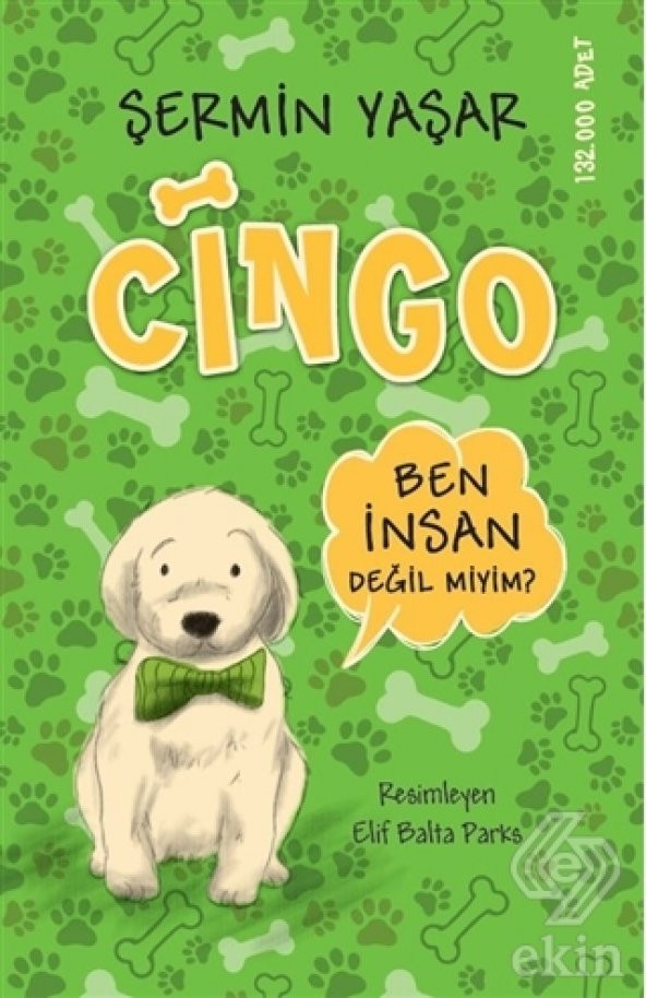 Cingo - 1