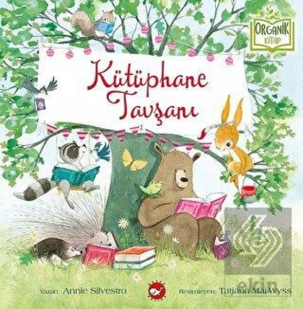 Kütüphane Tavşanı