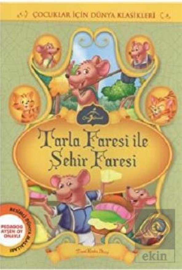 Tarla Faresi İle Şehir Faresi - 1