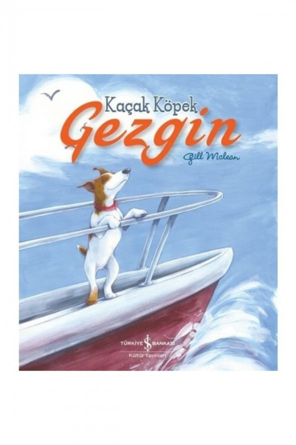 Kaçak Köpek Gezgin