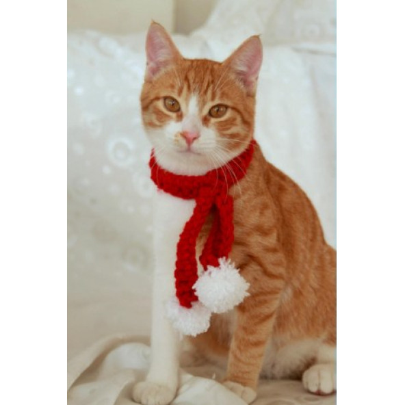 Beyaz Ponponlu Yılbaşı Atkısı & Kedi Tasması & Akseusar, Yılbaşı Özel, Noel Atkısı,Christmas,Kırmızı