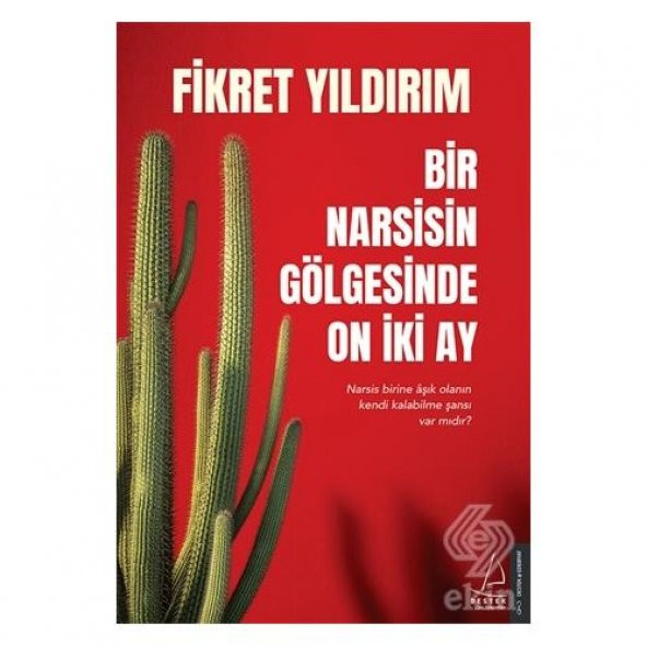 Bir Narsisin Gölgesinde On İki Ay ürün görseli