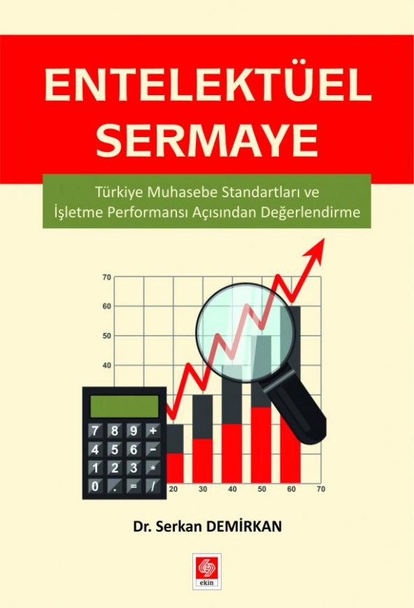 Entelektüel Sermaye Serkan Demirkan - 2